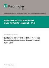 Sulfonated Poly(Ether Ether Ketone) Based Membranes For Direct Ethanol Fuel Cells