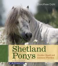 Shetland Ponys