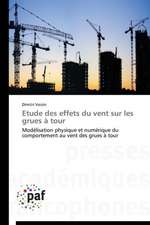 Etude des effets du vent sur les grues à tour