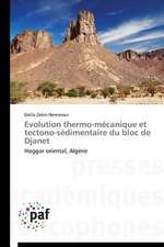 Evolution thermo-mécanique et tectono-sédimentaire du bloc de Djanet