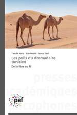 Les poils du dromadaire tunisien