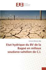 Etat Hydrique Du Bv de La Bagoe En Milieux Soudano-Sahelien de C.I.