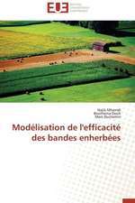 Modelisation de L'Efficacite Des Bandes Enherbees