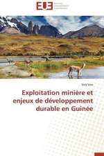 Exploitation Miniere Et Enjeux de Developpement Durable En Guinee: Interactions Entre Hommes, Objets Et Nature