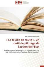 La Feuille de Route, Un Outil de Pilotage de L'Action de L'Etat: Causes Et Consequences