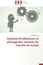 Systeme D'Indicateurs Et Pilotage Des Mesures Du Marche Du Travail: Petrologie, Geochimie Isotopique Et Geochronologie