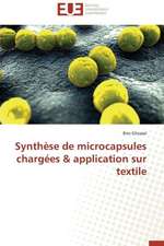 Synthese de Microcapsules Chargees & Application Sur Textile: Petrologie, Geochimie Isotopique Et Geochronologie