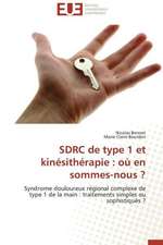 Sdrc de Type 1 Et Kinesitherapie: Ou En Sommes-Nous ?