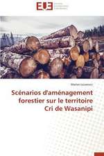 Scenarios D'Amenagement Forestier Sur Le Territoire Cri de Wasanipi: Apotre Et Pretresse Des Paiens