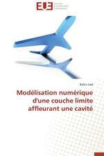 Modelisation Numerique D'Une Couche Limite Affleurant Une Cavite