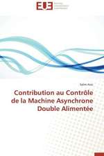 Contribution Au Controle de La Machine Asynchrone Double Alimentee: Cas de La Savonnerie Nosa