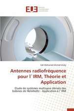 Antennes Radiofrequence Pour Lirm, Theorie Et Application: Cas Du Burkina