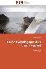 Etude Hydrologique D'Un Bassin Versant: Le Defi de Madagascar