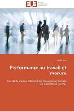 Performance Au Travail Et Mesure: Le Cas de Thienaba