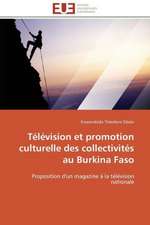 Television Et Promotion Culturelle Des Collectivites Au Burkina Faso: Carrieres Et Promotions