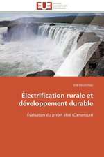 Electrification Rurale Et Developpement Durable: Carrieres Et Promotions