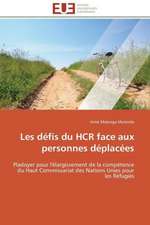 Les Defis Du Hcr Face Aux Personnes Deplacees: Postulats