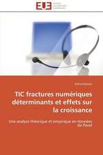 Tic Fractures Numeriques Determinants Et Effets Sur La Croissance