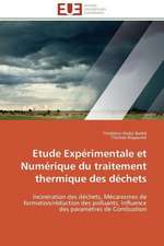 Etude Experimentale Et Numerique Du Traitement Thermique Des Dechets: Levier D'Un Management Moderne