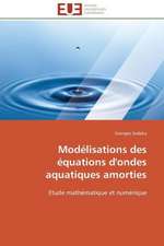 Modelisations Des Equations D'Ondes Aquatiques Amorties: Management Du Changement