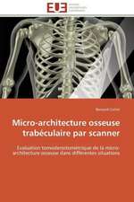 Micro-Architecture Osseuse Trabeculaire Par Scanner: Application Au Maghreb