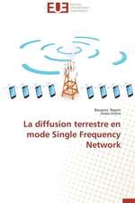 La Diffusion Terrestre En Mode Single Frequency Network: Un Regard Geometrique