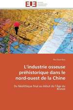 L Industrie Osseuse Prehistorique Dans Le Nord-Ouest de La Chine