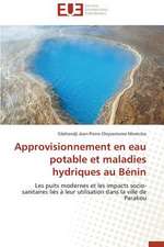 Approvisionnement En Eau Potable Et Maladies Hydriques Au Benin: Theorie Et Application