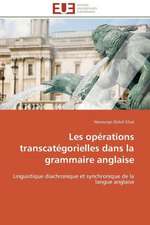 Les Operations Transcategorielles Dans La Grammaire Anglaise: Theorie Et Application