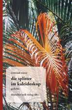 die splitter im kaleidoskop