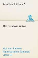 Die Freudlose Witwe: Erzahlung in Neun Briefen