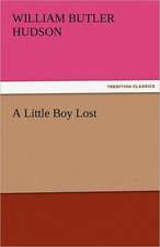 A Little Boy Lost