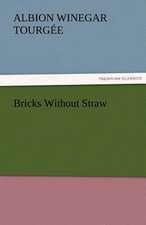 Bricks Without Straw