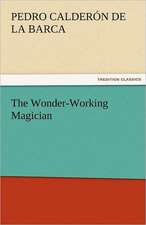 The Wonder-Working Magician