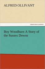 Boy Woodburn a Story of the Sussex Downs: New-England Sunday Gleanings Chiefly from Old Newspapers of Boston and Salem, Massachusetts