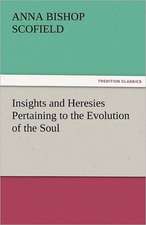 Insights and Heresies Pertaining to the Evolution of the Soul