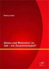 Stress Und Motivation Im Job - Ein Zusammenspiel?: Grundlagen, Konzept Und Methodik a