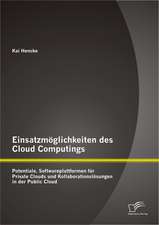 Einsatzmoglichkeiten Des Cloud Computings: Potentiale, Softwareplattformen Fur Private Clouds Und Kollaborationslosungen in Der Public Cloud