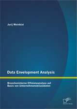 Data Envelopment Analysis - Brancheninterne Effizienzanalyse Auf Basis Von Unternehmensbilanzdaten: Nachhaltige Losungen in Der It Und Durch It-Unterstutzung