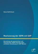 Realisierung Der Sepa Mit SAP: Darstellung Der Gesetzlichen Und Theoretischen Sepa-Anforderungen Und Deren Umsetzung Im SAP-System