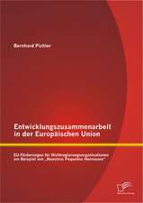 Entwicklungszusammenarbeit in Der Europaischen Union: Eu-Forderungen Fur Nichtregierungsorganisationen Am Beispiel Von Nuestros Pequenos Hermanos