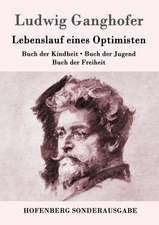 Lebenslauf eines Optimisten