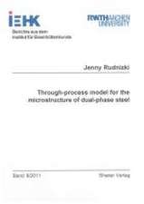 Through-process model for the microstructure of dual-phase steel