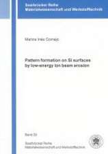 Pattern formation on Si surfaces by low-energy ion beam erosion