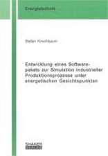 Entwicklung eines Softwarepakets zur Simulation industrieller Produktionsprozesse unter energetischen Gesichtspunkten