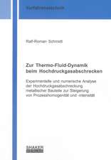 Zur Thermo-Fluid-Dynamik beim Hochdruckgasabschrecken