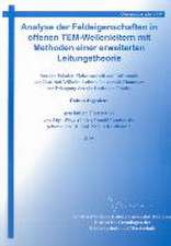 Analyse der Feldeigenschaften in offenen TEM-Wellenleitern mit Methoden einer erweiterten Leitungstheorie