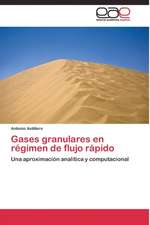 Gases granulares en régimen de flujo rápido