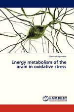 Energy metabolism of the brain in oxidative stress