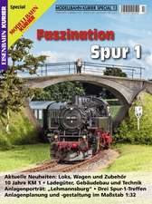 Modellbahn-Kurier Special 15 Faszination Spur 1 - Teil 1